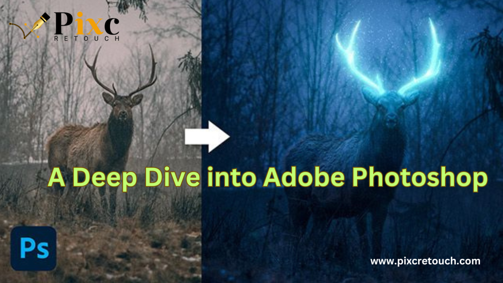 A Deep Dive into Adobe Photoshop