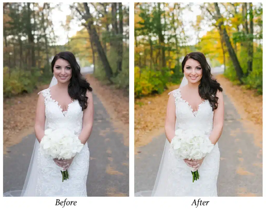 some examples of wedding photos